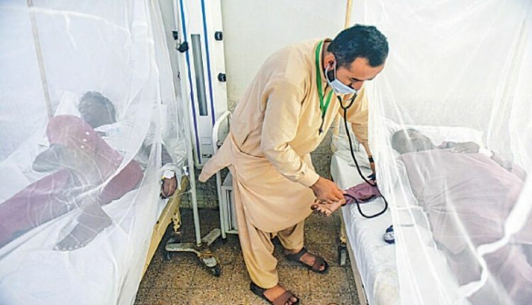 دکی کی خاتون ڈاکٹر کراچی میں ڈینگی مریضوں کا علاج کرتے ہوئے خود وائرس کا شکارہوکر چل بسی